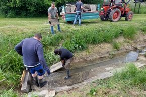 b97700d3-5fcb-45c6-9ce2-dc4440ca3de5